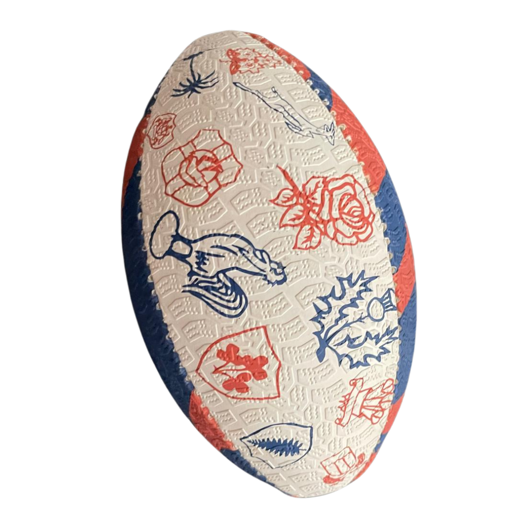 Mini ballon de rugby